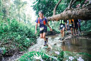 BIB: 
                            <button type="button" onclick="openModal(25455406)" class="btn btn-primary btn-sm float-right btn-popup" data-toggle="modal" data-target=".modal-high-quality">
                        <i class="fas fa-shopping-cart"></i> Add to Cart
                    </button>
                                            <button type="button" onclick="isThisMe(25455406, true)" class="btn btn-success btn-sm float-right btn-popup btn-isme hidden" data-toggle="tooltip" data-placement="bottom" title="นี่คือรูปของคุณใช่ไหม คลิกที่นี่เพื่อเอาเข้าอัลบั้ม">
                        <i class="fas fa-plus"></i> Add to album
                    </button>
                    <button type="button" onclick="isThisMe(25455406, false)" class="btn btn-warning btn-sm float-right btn-popup btn-isnotme hidden">
                        <i class="fas fa-ban"></i> Remove from album
                    </button>